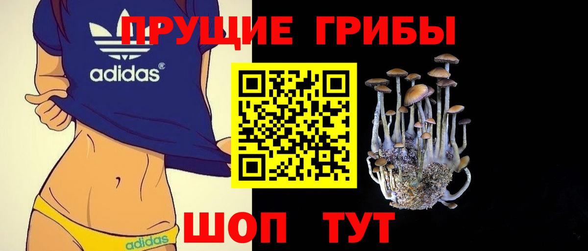 Кинель  Псилоцибиновые грибы ЛСД  Вход с VPN 
